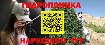 твердый Дубна