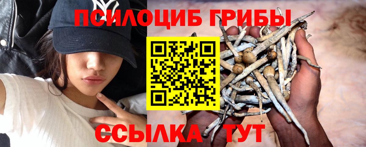 Псилоцибиновые грибы ЛСД Невинномысск